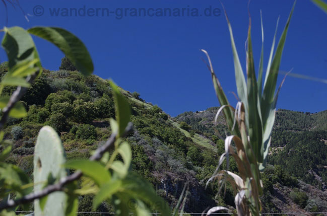 Sommerwandern auf Gran Canaria